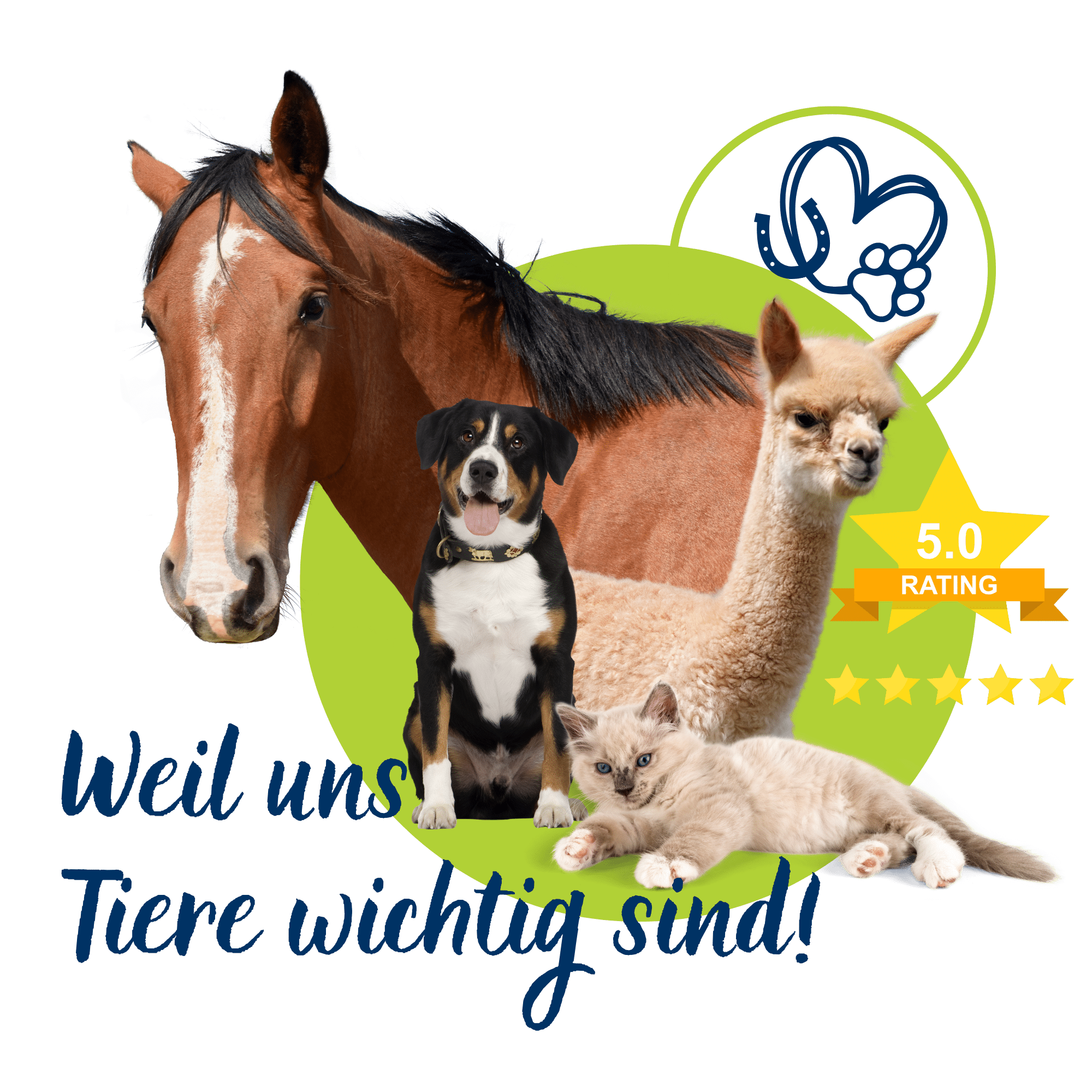 Header_BesteTierversicherung_Pferd,Alpaka,Hund,Katze